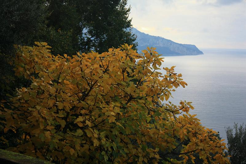 24-Capri,tra Termini e la Punta Campanella,15 novembre 2009.jpg